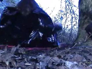 Moglie prende mantecato e sbronzo su da estranei in un pubblico parco mov
