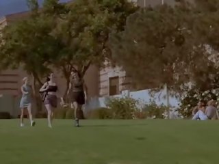 Троянда mcgowan devil в в плоть