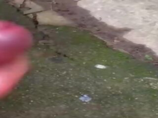 Новий плоть світло іграшка