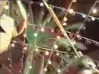 Beguiling عربي بطن dance-asw956