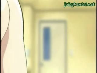 アニメ 蜂蜜 ととも​​に ストッキング 楽しむ a コック